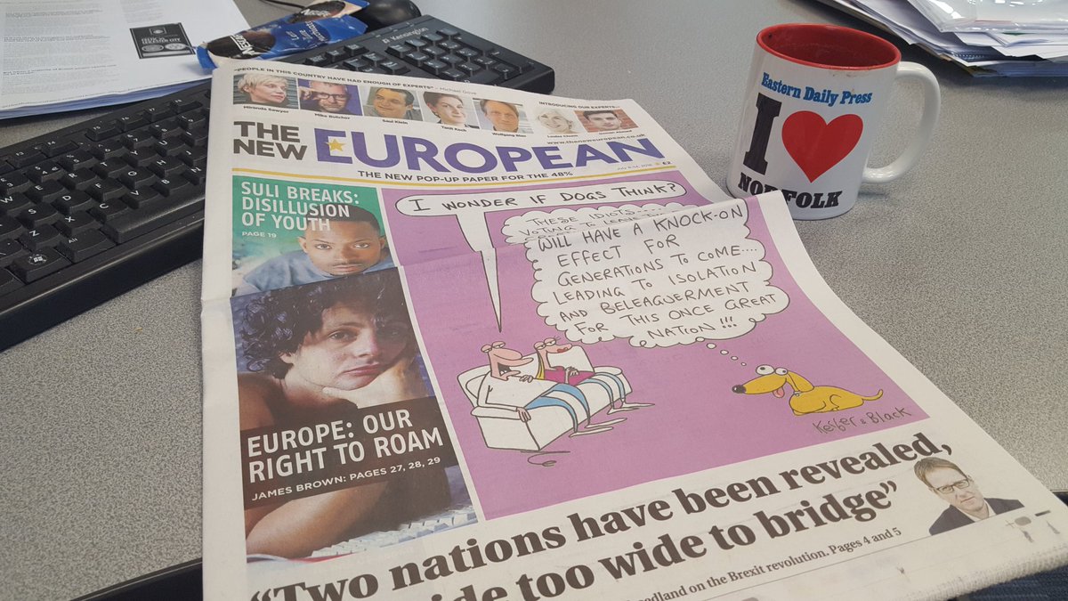 2 weeks ago today, @mk1969 and I were in a cafe, stunned by #brexit. Today we've launched @TheNewEuropean