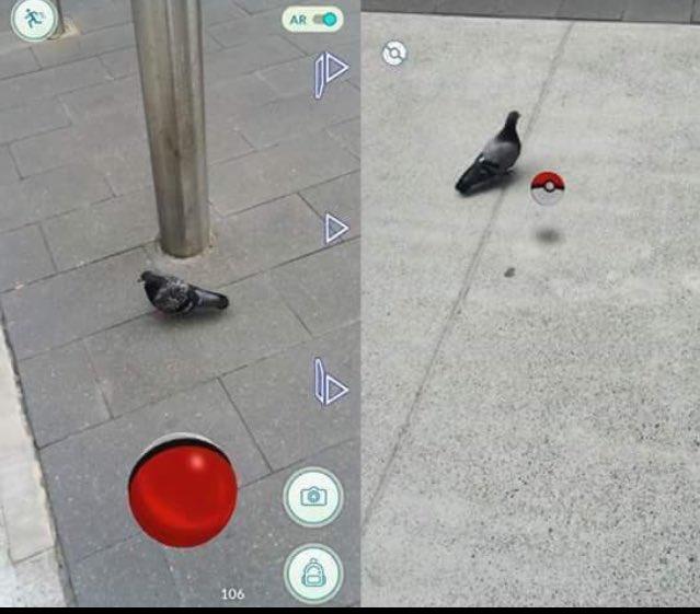Pokémon en Latinoamérica. Debes lanzar la bola roja-blanca al objeto en la pantalla.