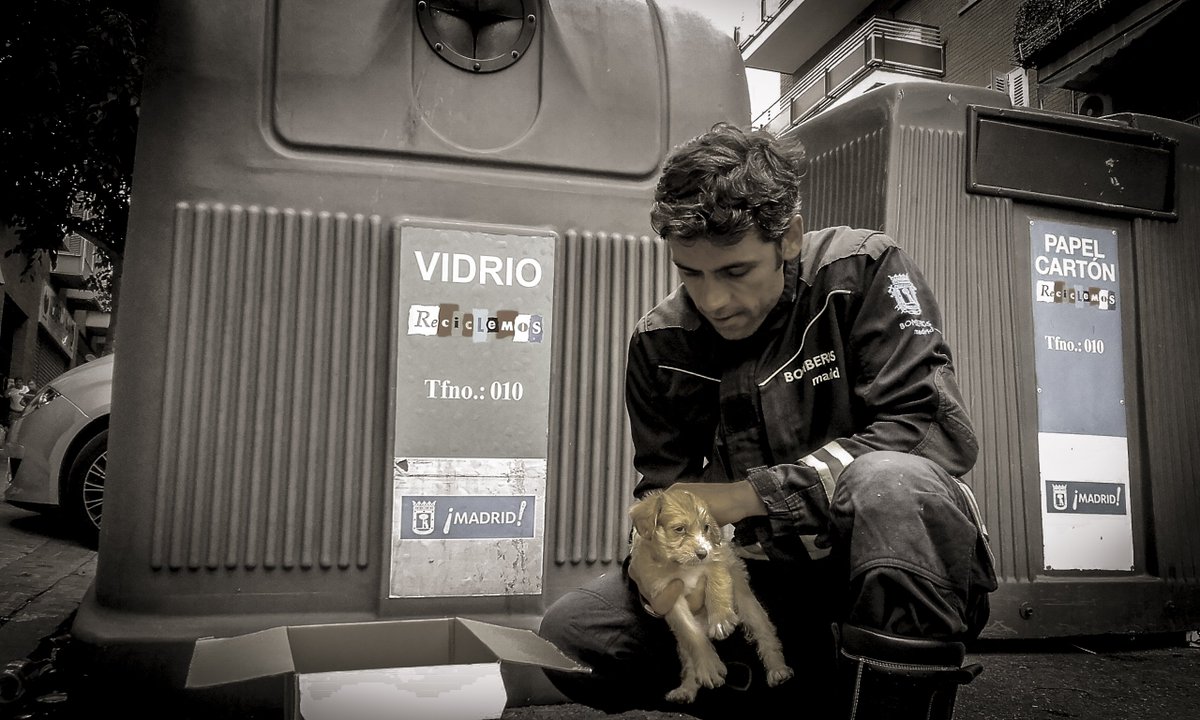 Bomberos Madrid (@bomberosmad) on Twitter photo En colaboración con <a href="/policiademadrid/">Policía Municipal de Madrid</a> rescatamos un cachorrillo abandonado en un contenedor. #NoAlMaltratoAnimal En colaboración con <a href="/policiademadrid/">Policía Municipal de Madrid</a> rescatamos un cachorrillo abandonado en un contenedor. #NoAlMaltratoAnimal