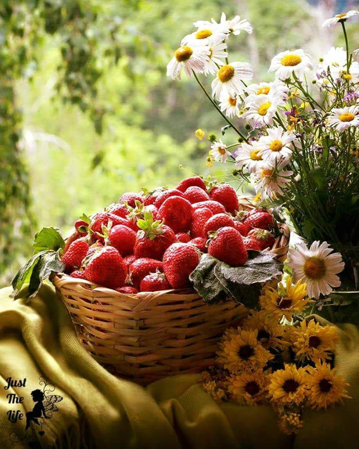 ﻟﻴﺲَ ﺍﻟﻌﺠَﺐْ ﻣﻦ ﺣُﺒﻲ ﻟﻚ ياربي ﻭﺃﻧﺎ
ﻋﺒﺪ ﻓَﻘـﻴﺮ
ﺇﻧﻤﺎ ﺍﻟﻌﺠــﺐ ﻣﻦ ﺣُﺒﻚ ﻟﻲ
ﻭﺃﻧﺖ ﻣﻠﻚ ﻗَﺪﻳـﺮْ
 
جمعه 🍃مباركه