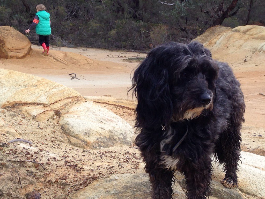 NighNighSleepy's tweet photo. No beach in sight! #centalvictoria #heathcote #pinkcliffs https://t.co/xo5VS3TVaT
