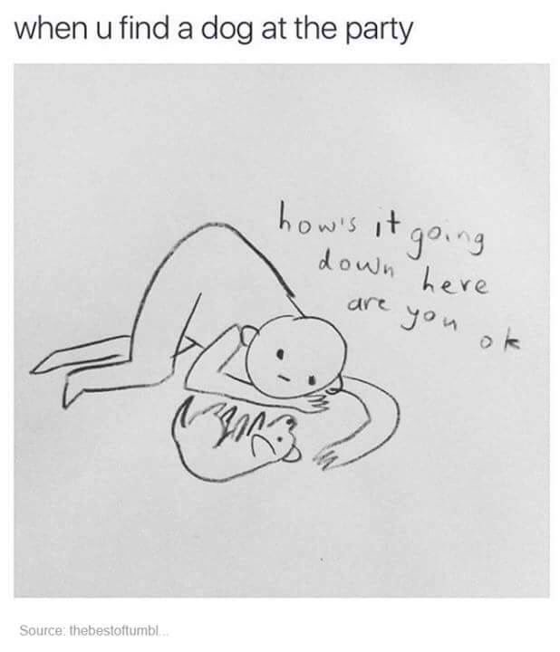 relatableImao's tweet image. 