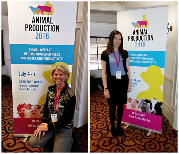 RSPCA's tweet photo. @RSPCA's Melina Tensen &amp; Dr Kate Hartcher presenting on the need for farm animal welfare improvements #AP2016conf https://t.co/AdaKGl54BX