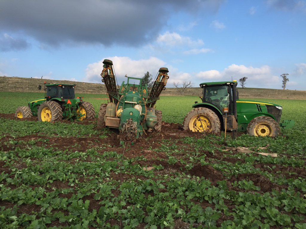 Fergus Inglis tweet media