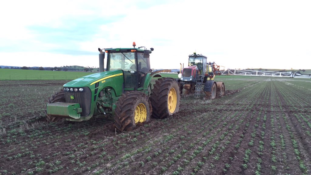 Fergus Inglis tweet media