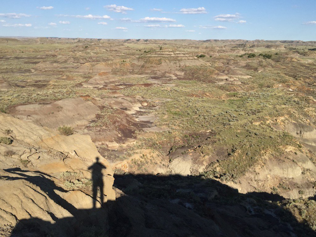 End of another stellar day in Valley of Last Dinos <a href="/LiveSci_HHMI/">Live Sci</a>  #DinoValley