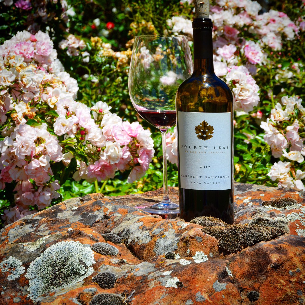 DiscoverNVWine's tweet photo. @FourthLeafWines Cabernet Sauvignon wine 
A unique mountain grape combination 
@AtlasPeakAVA @Howell_Mountain https://t.co/ibeW6OnCF3