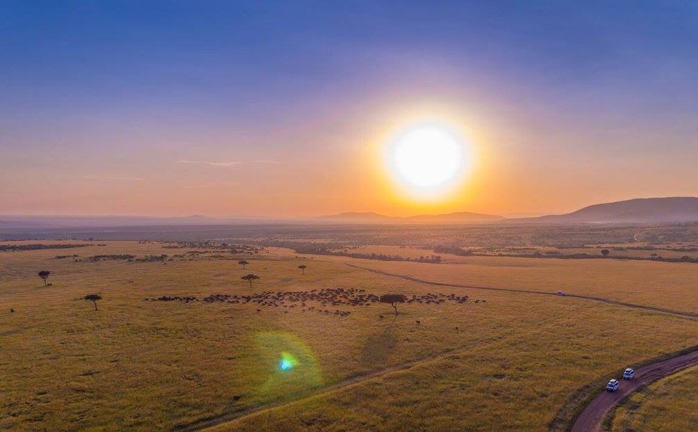 MicroDrone Africa tweet media