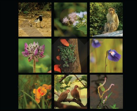 wisdmlabs's tweet image. #HowToWordPress Create a #Canvas #photography Printing site using #WordPress bit.ly/29pnJDo