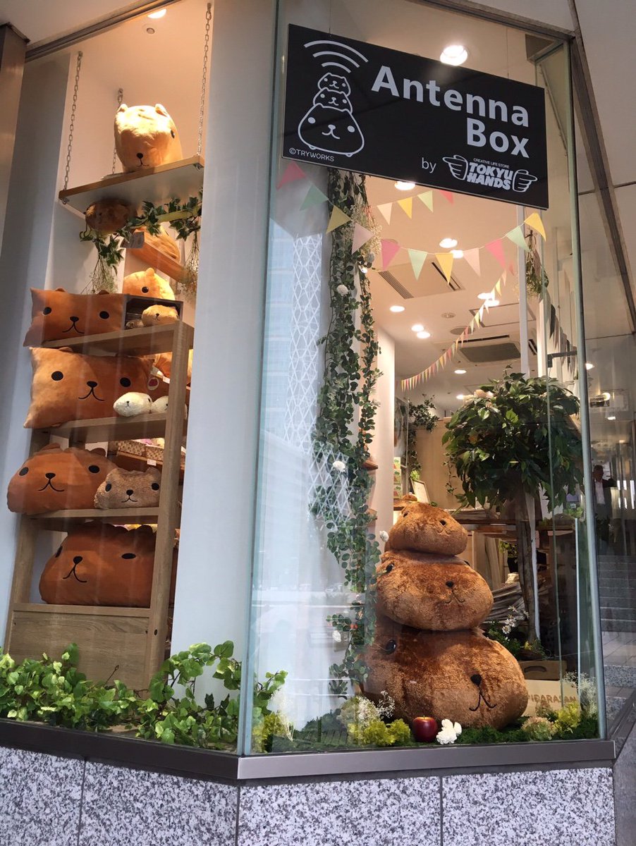 FROM_TRYWORKS's tweet photo. 【TRYWORKSより】
新宿ミロードで開催中のカピバラさん期間限定ショップもいよいよ7月12日(火)まで！
今週末が最後の土日となりますので、まだお越しでない方・もう一度ショップで癒されたい方はぜひ！キュルッとお待ちしております～ https://t.co/scociMiAjA