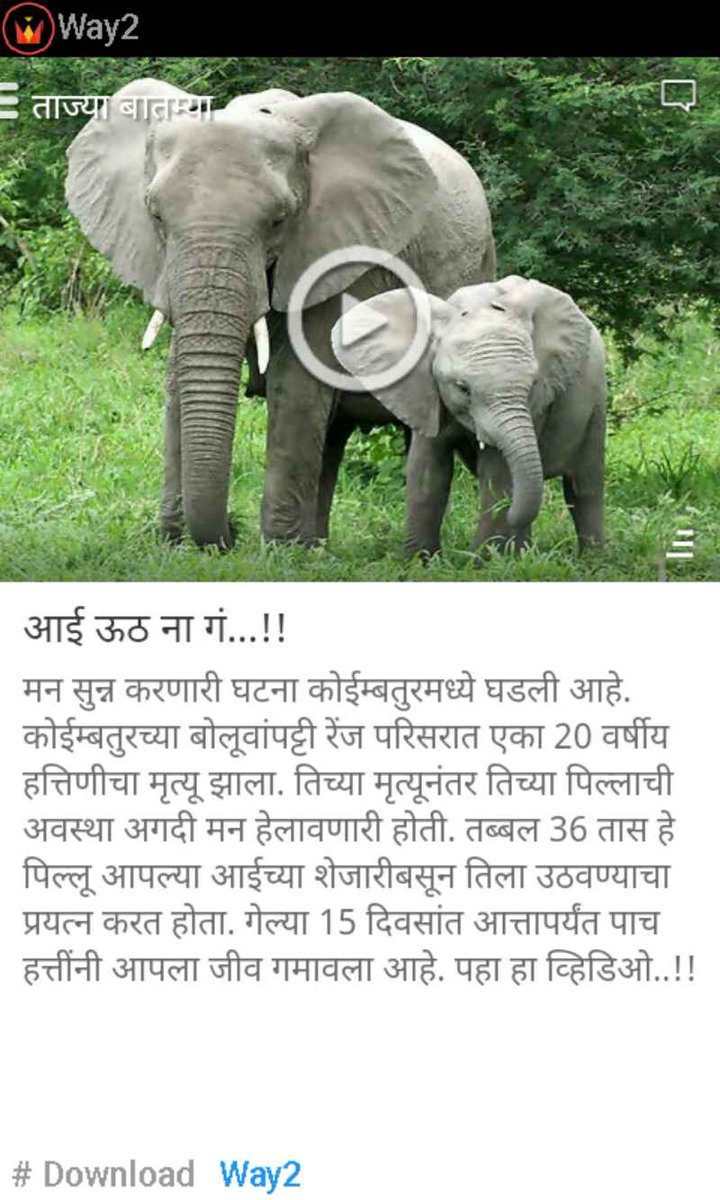 DOWNLOAD ADVANCES IN