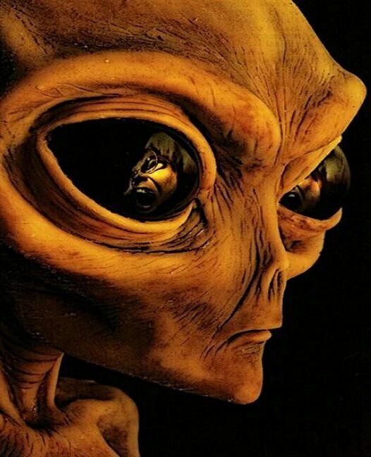 BitCoen_21M's tweet photo. Tell the truth about alien presence !!!
NO MORE LIES
#WorldDisclosureDay
#TheTruthIsOutThere
#truthwillprevail https://t.co/I5ByeLUoJT