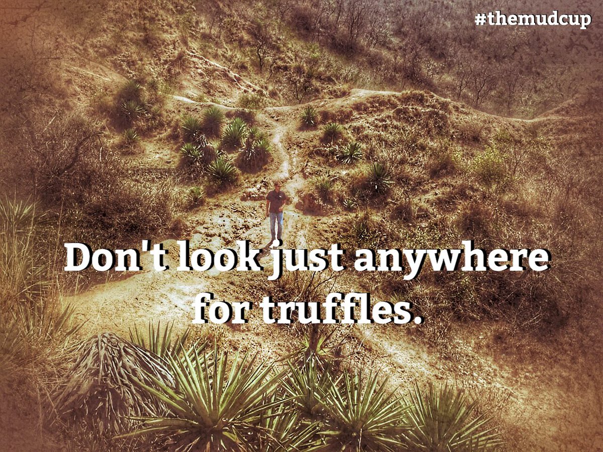 TheMudcup's tweet photo. Come on up to #themudcup for dessert #truffles #wandernomore #goodies https://t.co/zTdA6ZwPB9