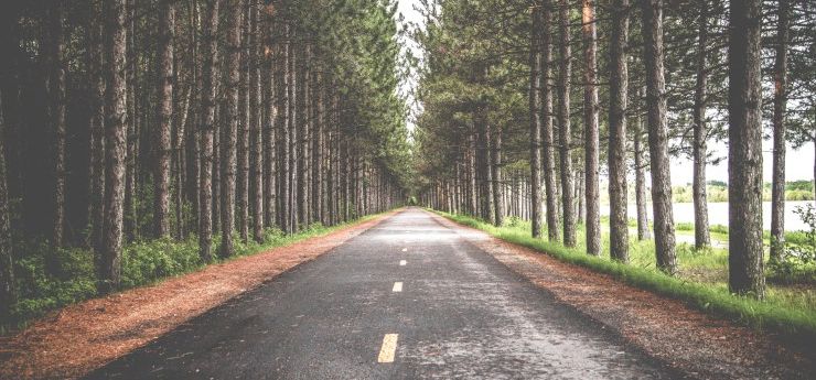 Nomadship_'s tweet photo. 4 STEPS I FOLLOWED TO SUCCESSFULLY START MY FREELANCING CAREER  https://t.co/2jMhNPXweh #Remotework https://t.co/ku68LRcz1b