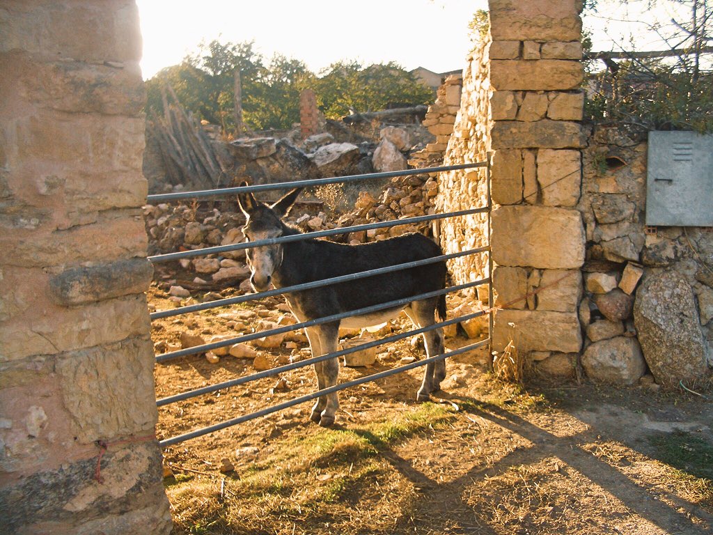 Miradas de por qué...