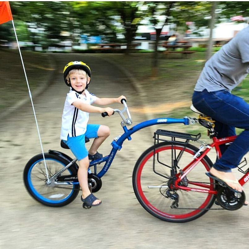 weeride co pilot back seat driver