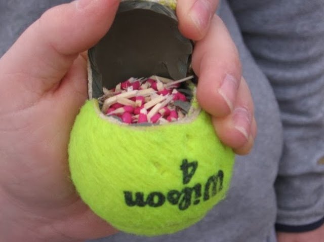 La Última Barbarie Y Lamentable Tendencia: Pelotas Bomba Para Perros…
megainsolito.com/la-ultima-barb…