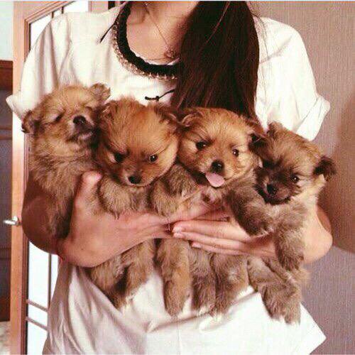 The only handful I want to deal with
