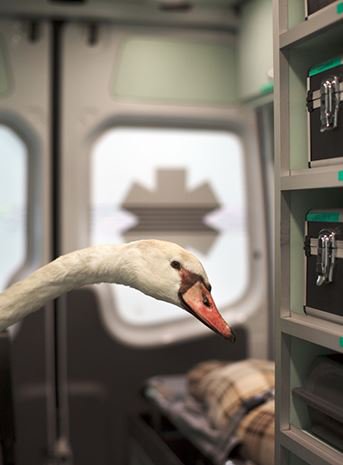 De vrijwilligers van de dierenambulance krijgen binnenkort een leuk presentje uit onze cadeautjesbank.