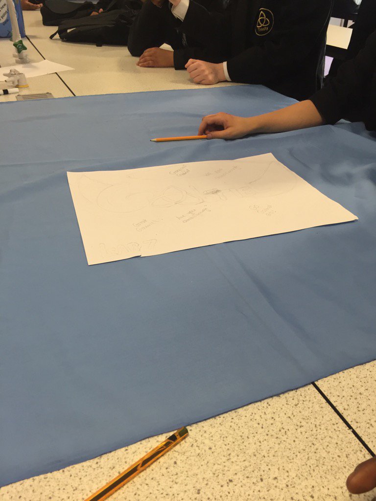 Kathy Tomlinson-Cole tweet media