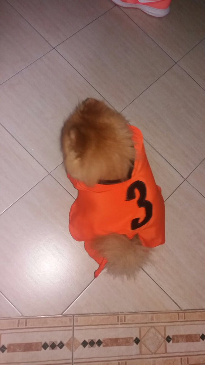 ¡Buenisímos días Olímpic@s! Nuestra mascota ya está preparada para el desfile de esta noche.#ElCantarete3 #OORR2016