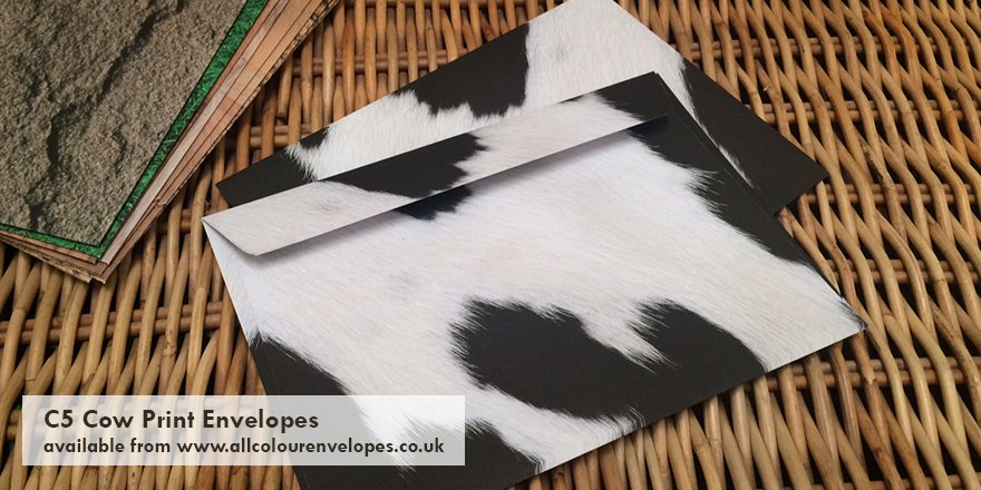 ColourEnvelopes's tweet photo. Mooooo! Had to share our Cow Print Envelopes with you on National Cow Appreciation Day 🐮 https://t.co/ZMAAdZR6HZ https://t.co/JUcUrtSK4V