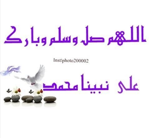 ابومحمد (@mfrhmhmd) on Twitter photo 