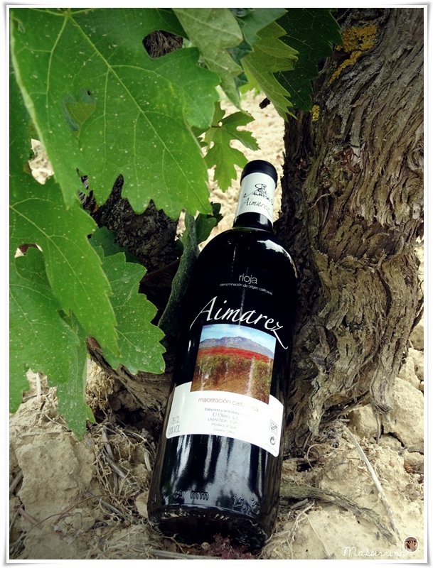 makurrina's tweet photo. #BodegaElOtero y su vino #Aimarez, Silver Medal #CWWSC
Viñedos, vino, comida, risas, amigos
https://t.co/7PgWYLvSZf https://t.co/LrMrguqrrX