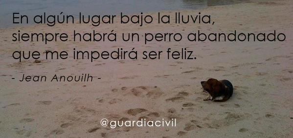 guardiacivil's tweet photo. ¿Estás pensando ampliar tu familia con un amigo de 4 patas? 🐶🐾🐕
¿Has pensado adoptar? siempre te lo agradecerá https://t.co/DeoyelYjuM