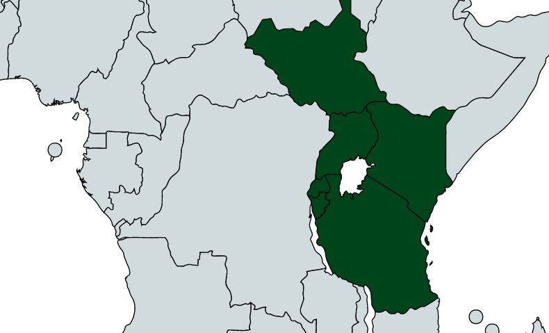 LMfumukeko's tweet photo. HE. @PaulKagame underscores need for faster,deeper @jumuiya integration https://t.co/RC31Y8l5ue https://t.co/xhlTMvm36K