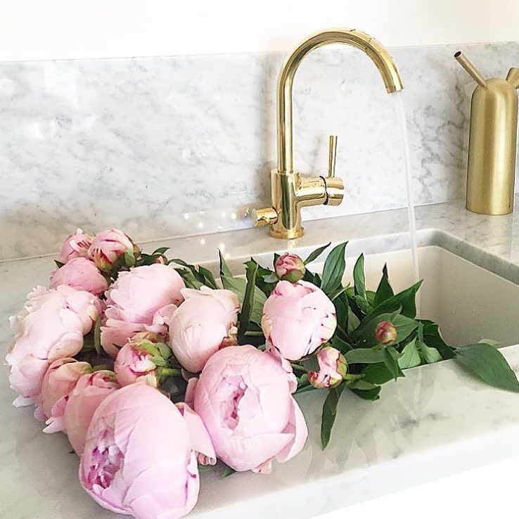 teqtique's tweet photo. Happy Friday! We are loving 📷 @corneliasinterior's Friday feeling - fresh blooms to light up the weekend! #teqtique… https://t.co/IGDef1sX9l