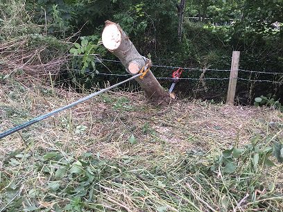 BarryKillnerEA's tweet photo. Fallen tree removal at #Bridgeend #Stonehouse #Gloucestershire #winching #woodchipping #chainsawing #menmultitasking https://t.co/aO5mrLKJLZ