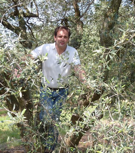 therealolivence's tweet photo. .@therealolivence is a group of French Olive Oil producers, creating rare &amp; exciting oils from ancient groves https://t.co/oL8QVooy7r