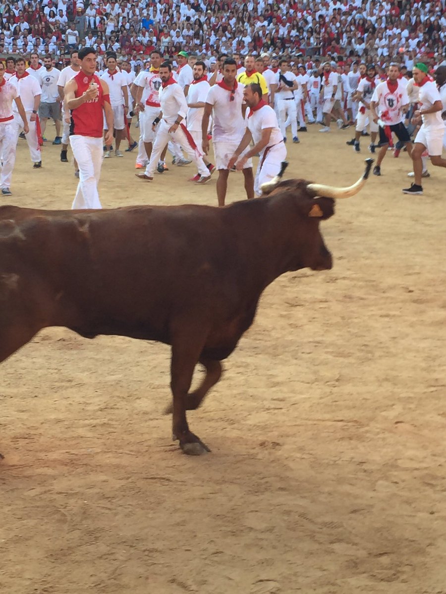 MichaelLogan11's tweet photo. Made it out alive, cross Running of the Bulls off the bucket list https://t.co/xKaztPmkjA