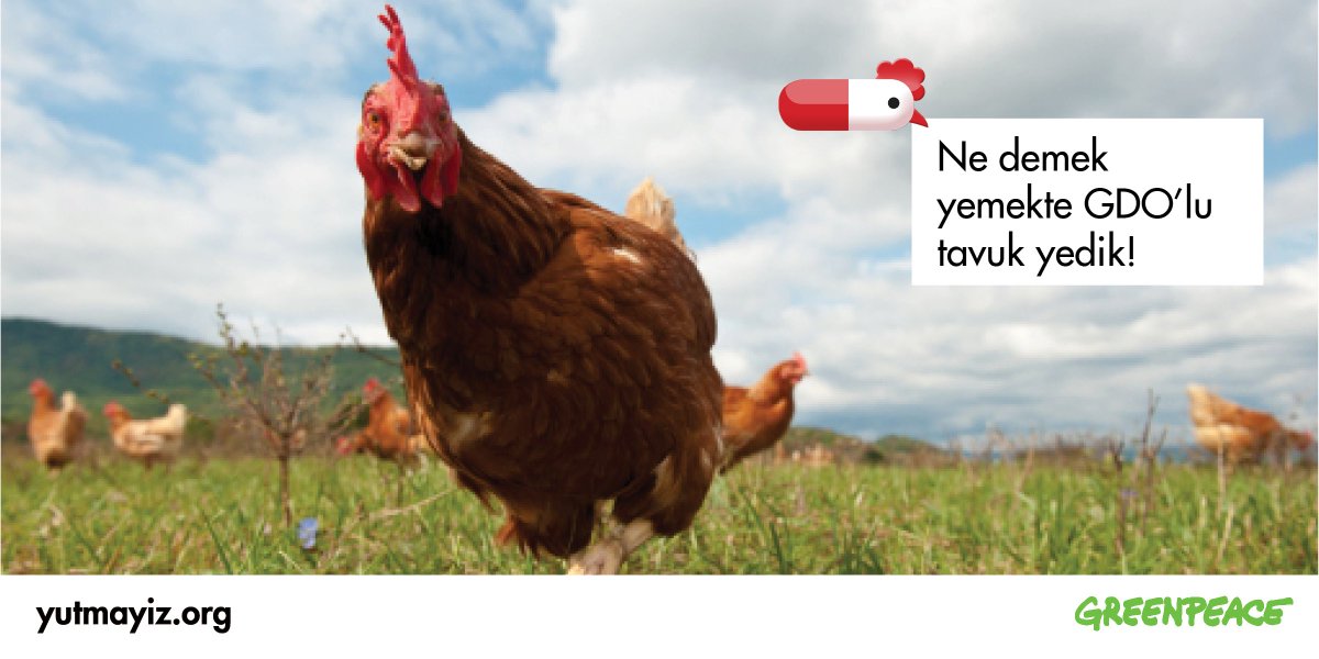 Endüstriyel tavukçuluk sağlığımızı ve dünyayı tüketmesin diyorsan sen de katıl>> bit.ly/29qgqLD