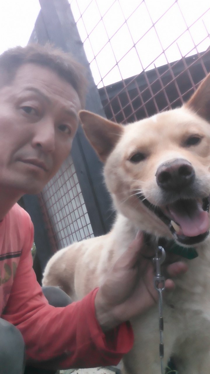 熊野山本 猪犬訓練所 Likkjmwc3zots6l Twitter