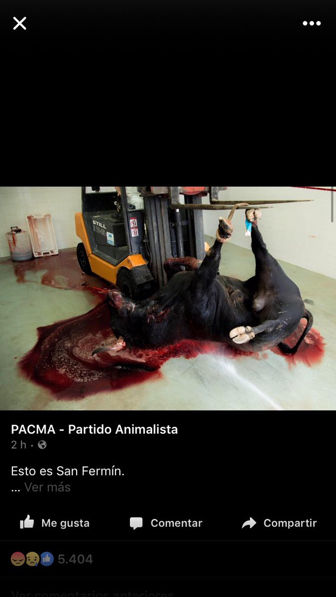 AnitaPaoPao's tweet photo. @PartidoPACMA fomentemos el respeto hacia todos los seres yno la violencia. @Pamplonamegusta @Pamplonaactual @MeVle5 https://t.co/s5Sgm849Za