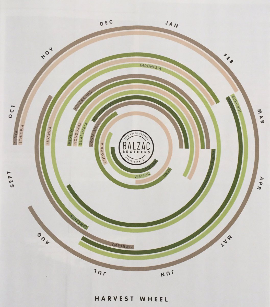 １９４.１９ Ｃｏｆｆｅｅ tweet media