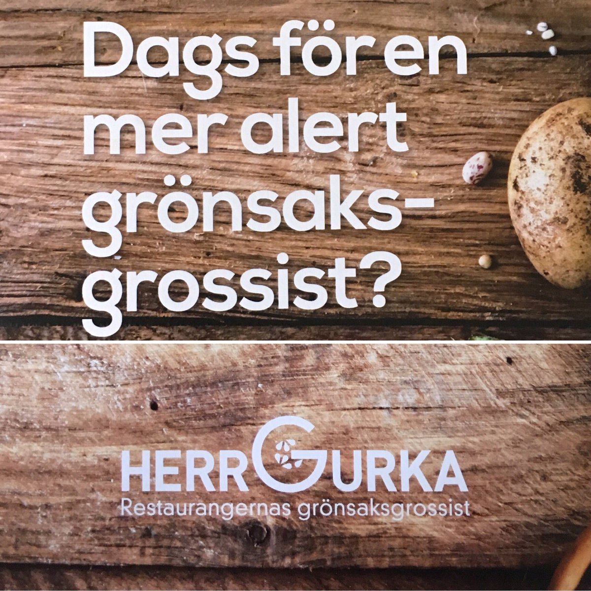 Herr Gurka AB (@herr_gurka_ab) on Twitter photo 