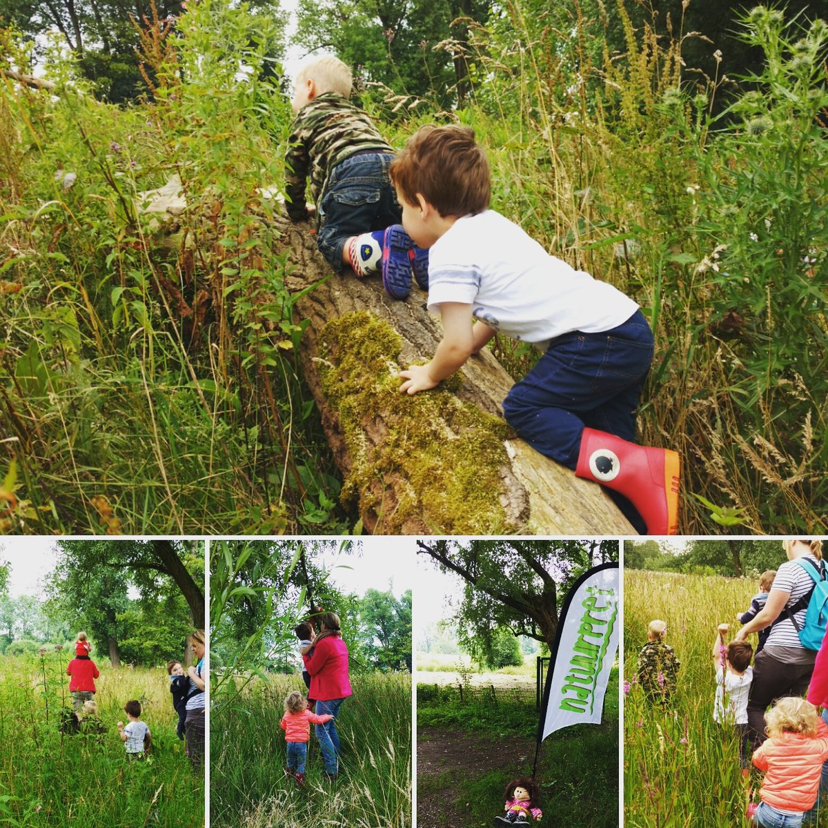Opzoek naar de boombewoners met #peutersinhetwild in de#dommelbimd! #Boxtel #Groenewoud #natuur #genieten