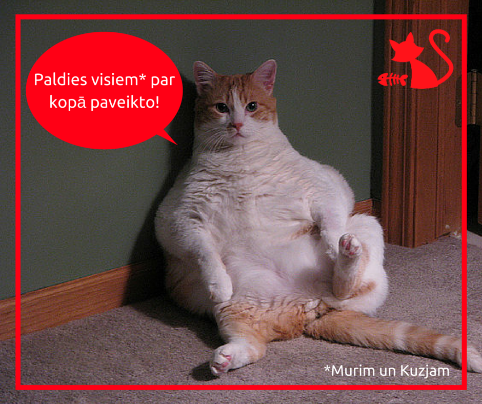 skakupunkts's tweet photo. Jo tikai kopā var sasniegt lielas lietas @Muris_and_Kuzja #RīgasDome https://t.co/jcA4WCrMrS
