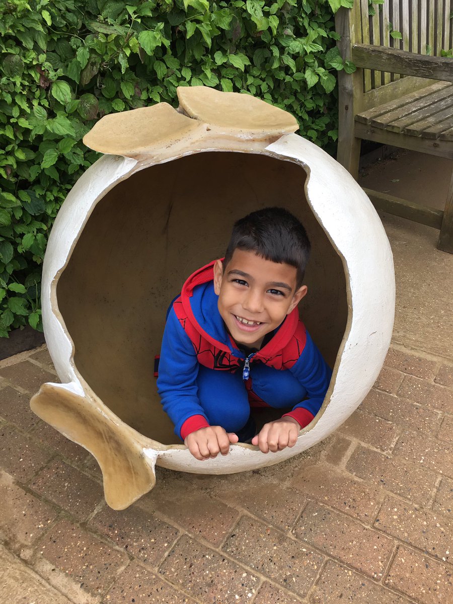 MissPenroseDPS's tweet photo. Year 2 having a great time at Colchester zoo today! @DersPrimary @ColchesterZoo https://t.co/fr5bgVvblk