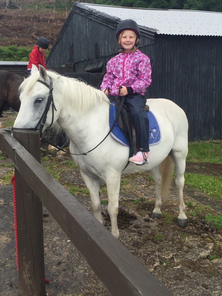 chris_buckham's tweet photo. @BowhousePS I knew this was a bad idea. "Daddy, can I get a pony for my birthday?" https://t.co/01jGDerHrB