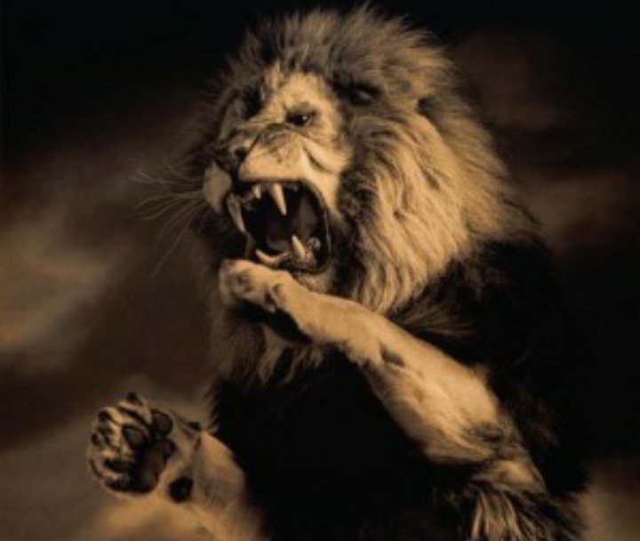 أدلة تاريخية على الهجوم على دار السيدة أنا الذي سمتني أمي حيدرة Facebook