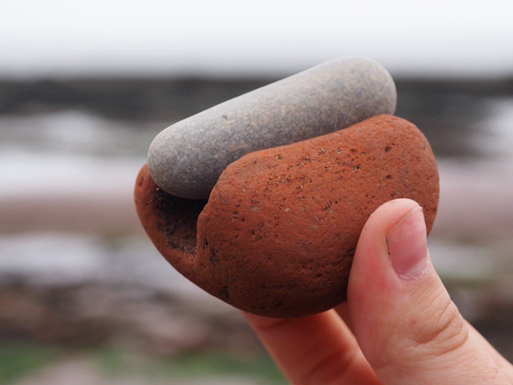 In case it helps you as much as it has me today: I have gone to the seaside and found this tiny fossil hot dog.