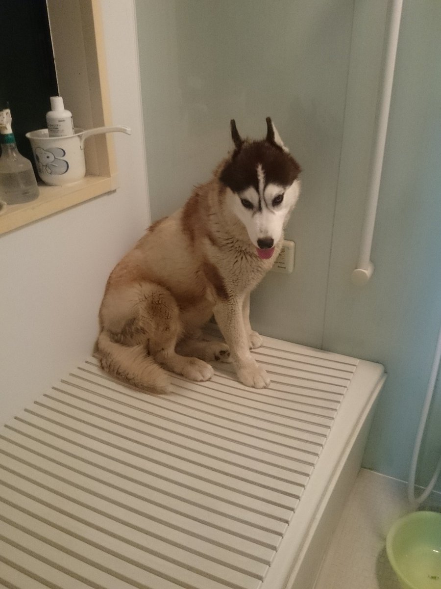 ムックス tweet media