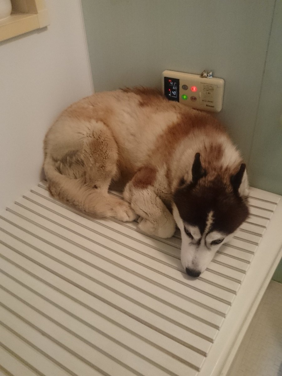 ムックス tweet media