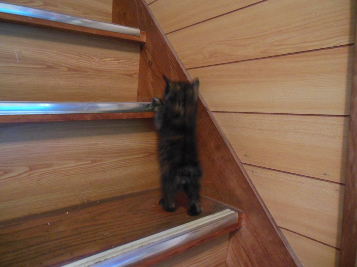 今日５００ｇだった