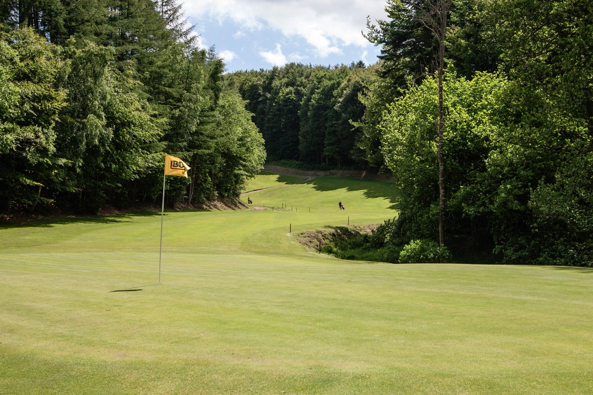 Ingenium Golf tweet media