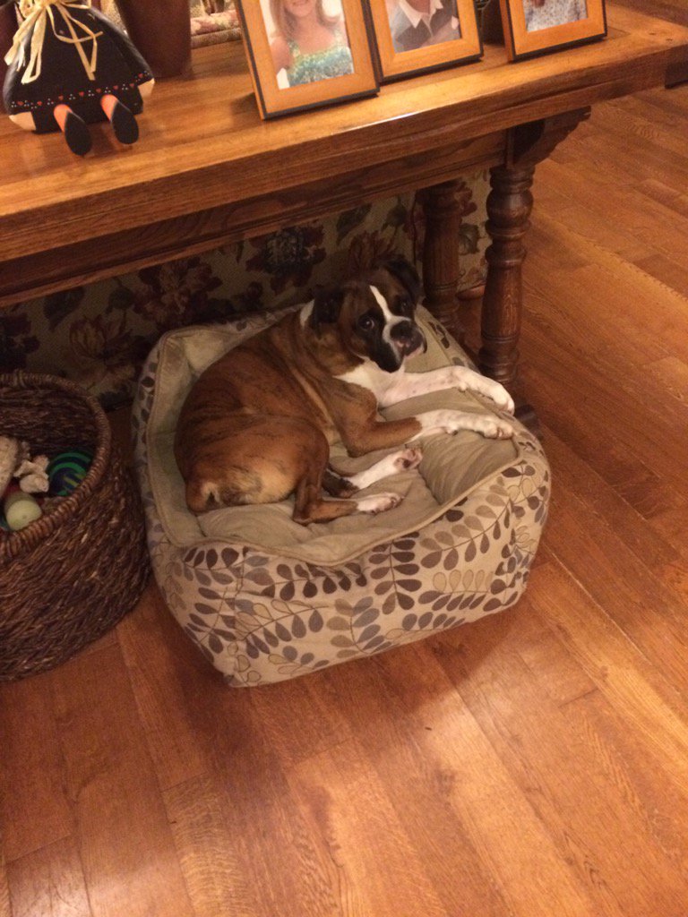 Dempsey46074's tweet photo. Miss my People. Hope they come home soon. https://t.co/kGsGNC6LBe